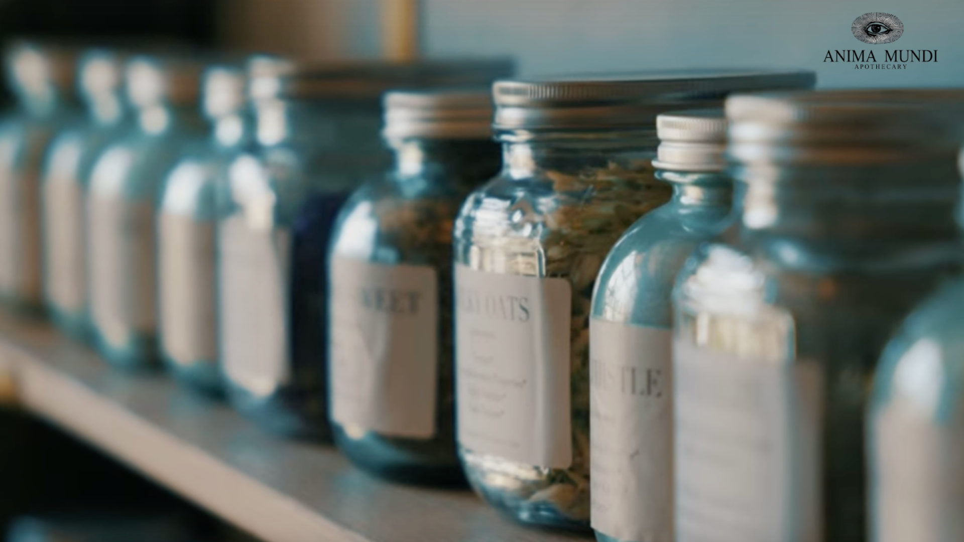 anima mundi detox supplements